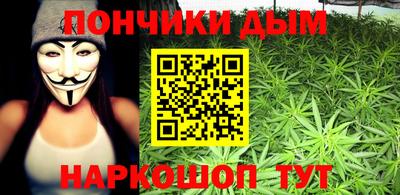 крисы Дубна