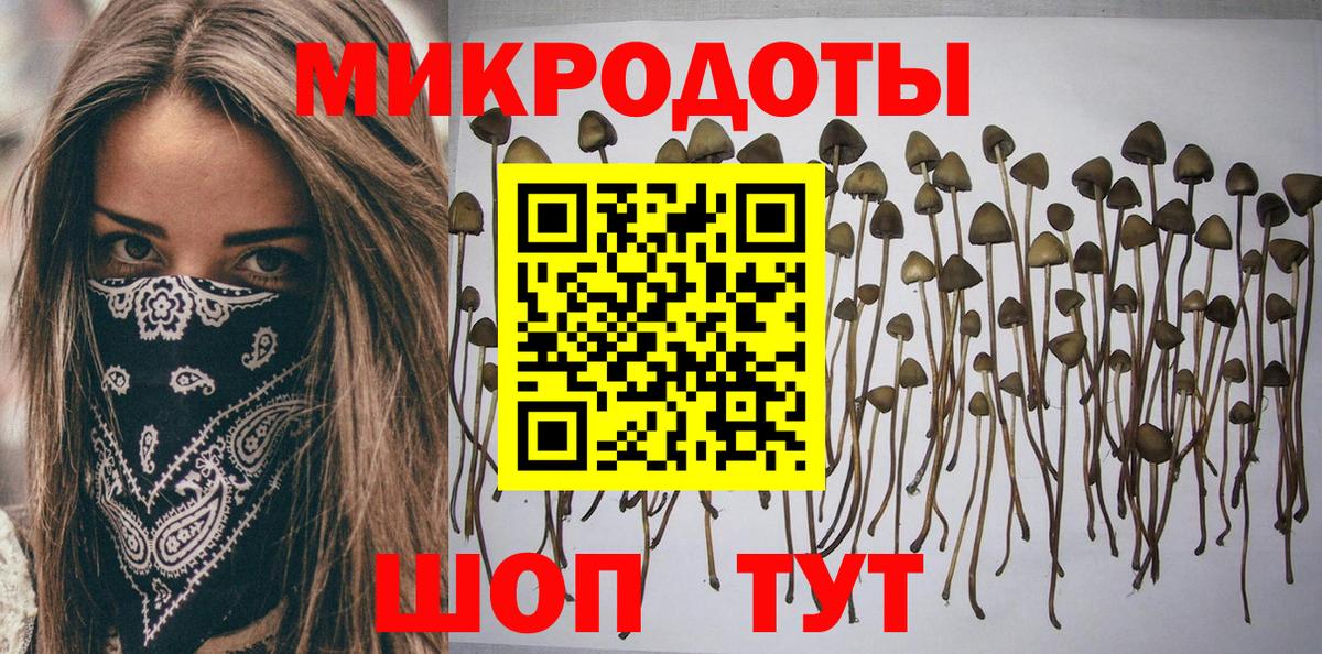 Галлюциногенные грибы Psilocybe Кушва